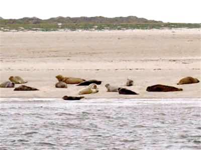 Nordsee Haus An't Oll Deep Dornumersiel